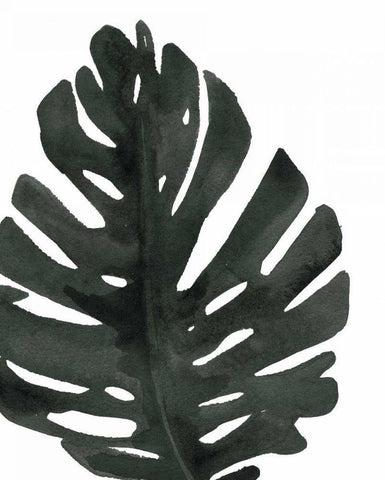 Tropical Palm I BW Black Ornate Wood Framed Art Print with Double Matting by Wild Apple Portfolio