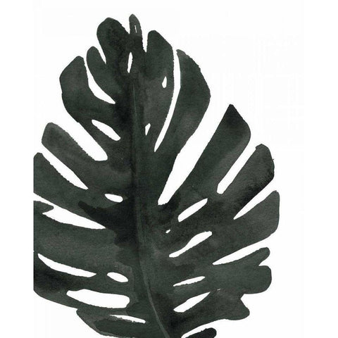 Tropical Palm I BW Black Modern Wood Framed Art Print by Wild Apple Portfolio