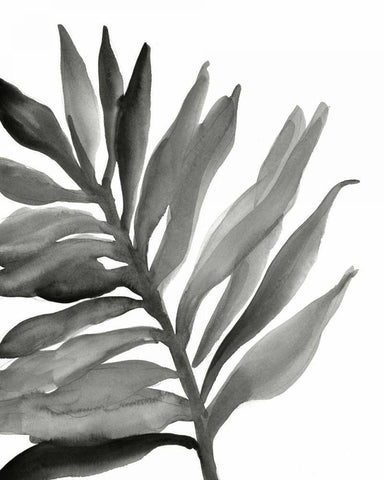 Tropical Palm III BW Black Ornate Wood Framed Art Print with Double Matting by Paschke, Chris