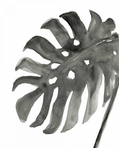 Tropical Palm IV BW Black Ornate Wood Framed Art Print with Double Matting by Paschke, Chris