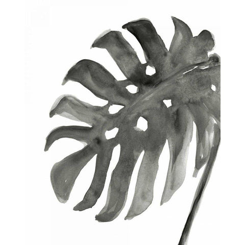 Tropical Palm IV BW Black Modern Wood Framed Art Print by Paschke, Chris