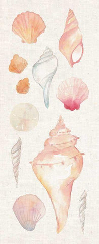 Sea Gems II White Modern Wood Framed Art Print with Double Matting by Wild Apple Portfolio