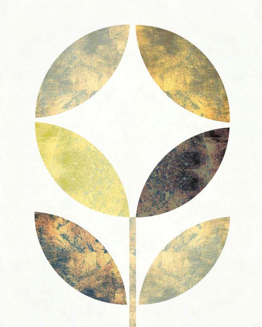 Image Only