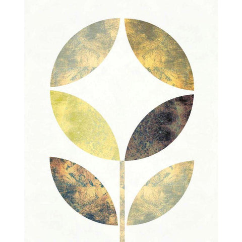 Golden Flower II Black Modern Wood Framed Art Print with Double Matting by Mullan, Michael