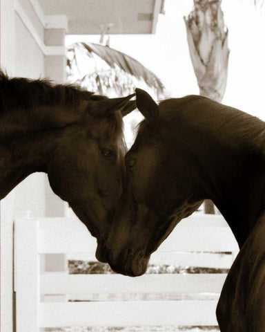 Good Friends Black Ornate Wood Framed Art Print with Double Matting by Dratfield, Jim