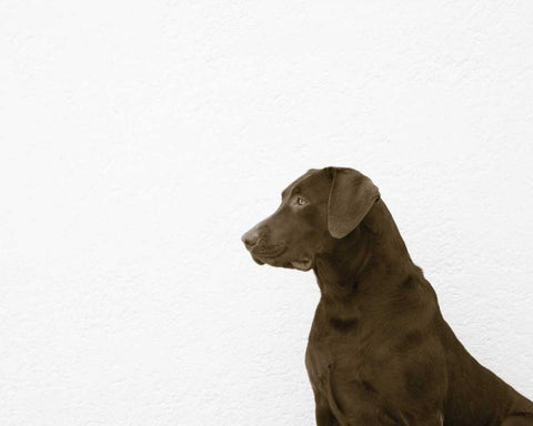 I See You Crop Black Ornate Wood Framed Art Print with Double Matting by Dratfield, Jim