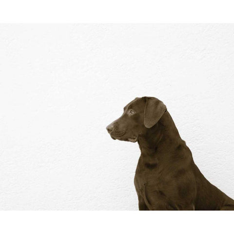 I See You Crop White Modern Wood Framed Art Print by Dratfield, Jim