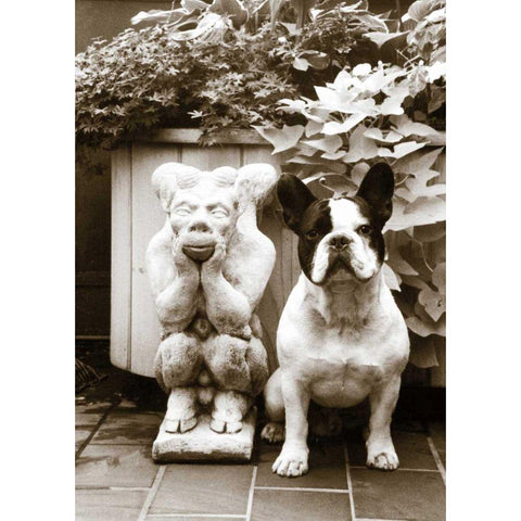 Friends White Modern Wood Framed Art Print by Dratfield, Jim