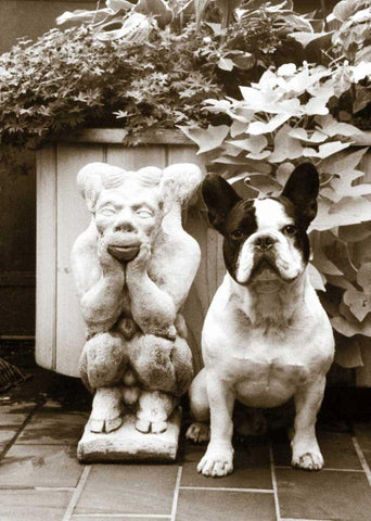 Friends White Modern Wood Framed Art Print with Double Matting by Dratfield, Jim