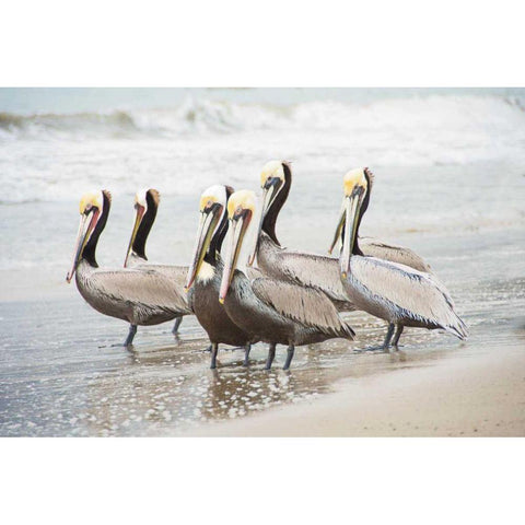 Pacific Cool IV Crop White Modern Wood Framed Art Print by Urquhart, Elizabeth