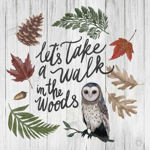 Walk in the  Woods White Modern Wood Framed Art Print by Zieve Miller, Sara