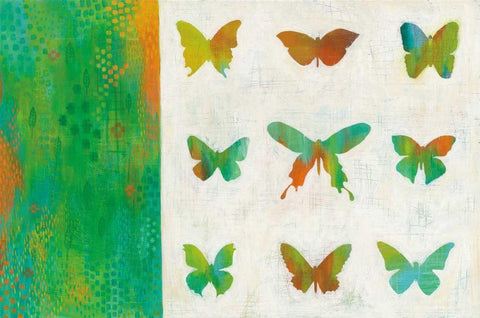 Flight Patterns II Crop Black Ornate Wood Framed Art Print with Double Matting by Averinos, Melissa