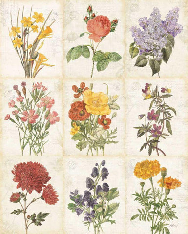 Flowers of the Month 9 Patch White Modern Wood Framed Art Print with Double Matting by Pertiet, Katie