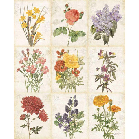 Flowers of the Month 9 Patch Black Modern Wood Framed Art Print by Pertiet, Katie