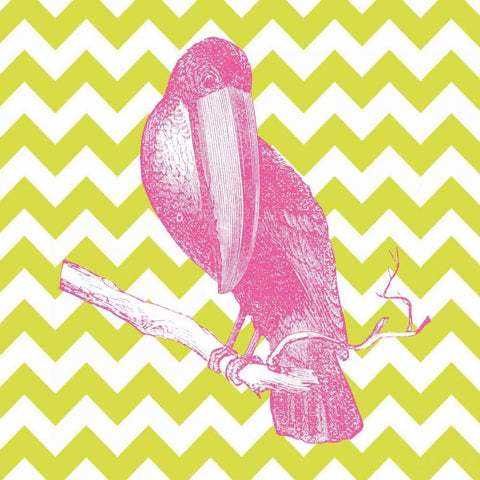 Bright Menagerie Toucan White Modern Wood Framed Art Print with Double Matting by Wild Apple Portfolio