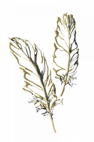 Gilded Barn Owl Feather Black Ornate Wood Framed Art Print with Double Matting by Paschke, Chris