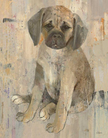 Paco v2 Black Ornate Wood Framed Art Print with Double Matting by Hristova, Albena