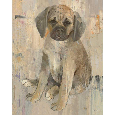 Paco v2 White Modern Wood Framed Art Print by Hristova, Albena