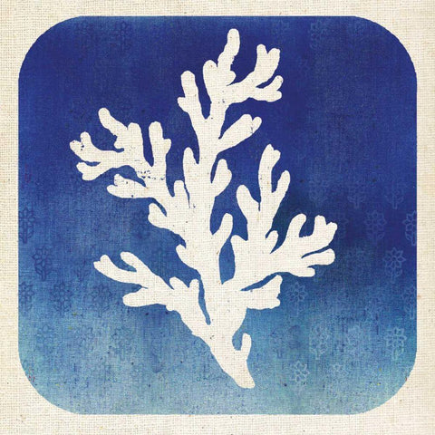 Watermark Coral  Black Modern Wood Framed Art Print by Studio Mousseau