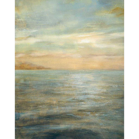 Serene Sea II Black Modern Wood Framed Art Print with Double Matting by Nai, Danhui