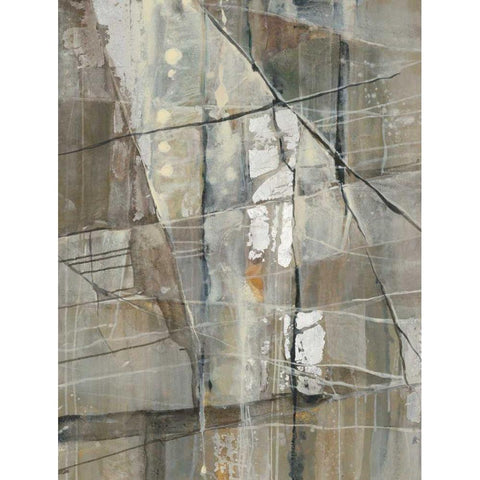 Silver III Crop Black Modern Wood Framed Art Print by Hristova, Albena