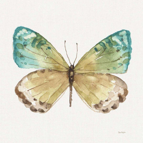 Colorful Breeze XIV Black Ornate Wood Framed Art Print with Double Matting by Audit, Lisa