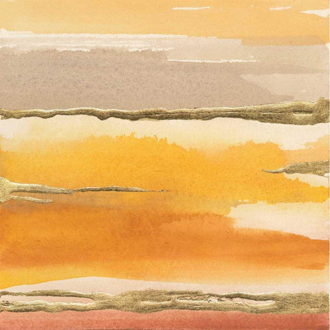 Gilded Amber II Black Modern Wood Framed Art Print by Paschke, Chris