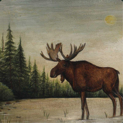 North Woods Moose II White Modern Wood Framed Art Print by Brown, David Carter
