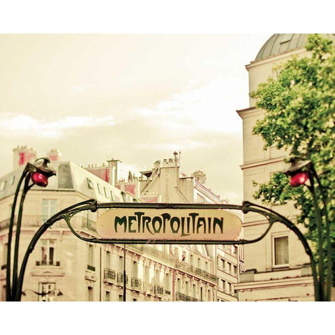 A Lily in Paris Black Modern Wood Framed Art Print by Bevan, Keri