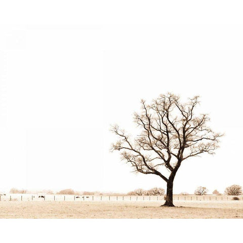 Bleached Bones of Winter Gold Ornate Wood Framed Art Print with Double Matting by Bevan, Keri