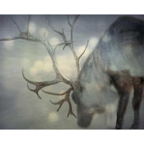 If On A Winters Night Gold Ornate Wood Framed Art Print with Double Matting by Bevan, Keri