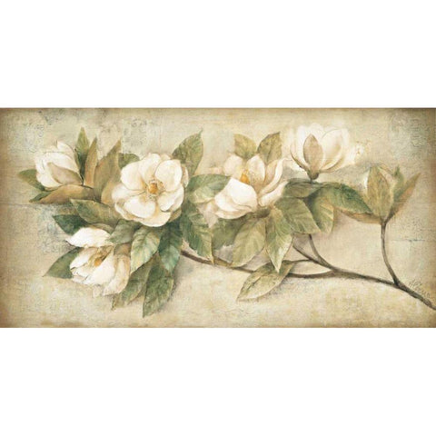 Sugar Magnolia Vintage White Modern Wood Framed Art Print by Hristova, Albena