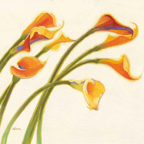 Callas in the Wind I Black Ornate Wood Framed Art Print with Double Matting by Novak, Shirley