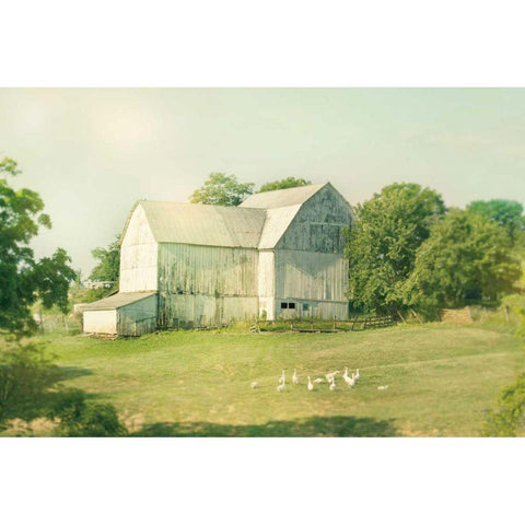 Farm Morning III Square Black Modern Wood Framed Art Print with Double Matting by Schlabach, Sue