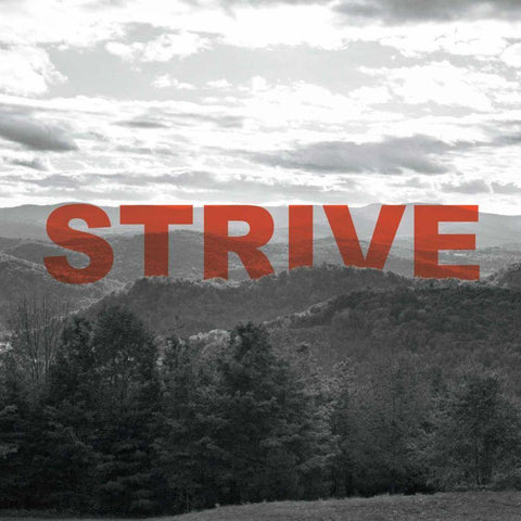 Bold Adventures VI Gold Ornate Wood Framed Art Print with Double Matting by Marshall, Laura