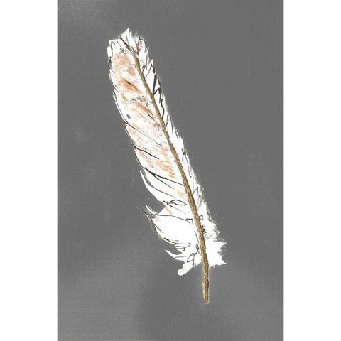 Gold Feathers II on Grey Black Modern Wood Framed Art Print with Double Matting by Paschke, Chris