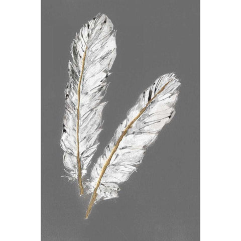 Gold Feathers IV on Grey Black Modern Wood Framed Art Print with Double Matting by Paschke, Chris