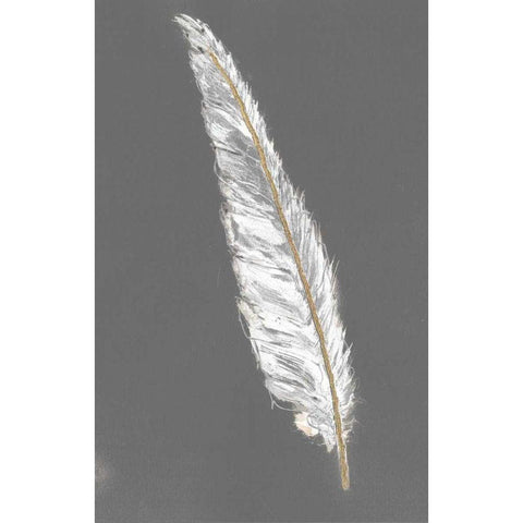 Gold Feathers VI on Grey Black Modern Wood Framed Art Print by Paschke, Chris