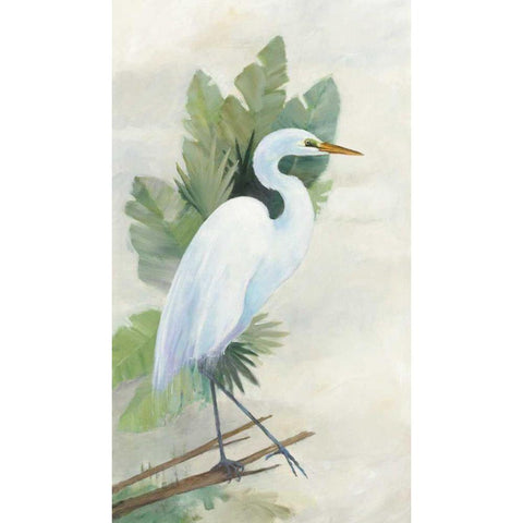 Standing Egret I Crop White Modern Wood Framed Art Print by Tillmon, Avery