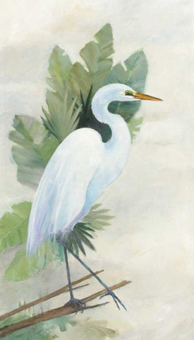 Standing Egret I Crop White Modern Wood Framed Art Print with Double Matting by Tillmon, Avery