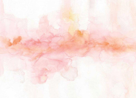 Rainbow Seeds Abstract Black Ornate Wood Framed Art Print with Double Matting by Audit, Lisa