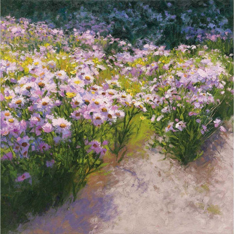 Buckhorn Aster Show White Modern Wood Framed Art Print by Novak, Shirley