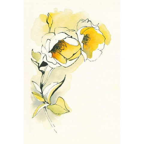 Carols Roses II Gold Ornate Wood Framed Art Print with Double Matting by Novak, Shirley