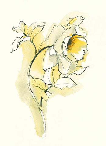 Carols Roses III White Modern Wood Framed Art Print with Double Matting by Novak, Shirley