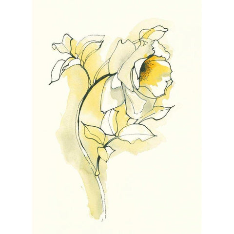 Carols Roses III Black Modern Wood Framed Art Print by Novak, Shirley
