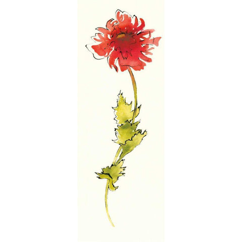 Peony Form Poppies II Gold Ornate Wood Framed Art Print with Double Matting by Novak, Shirley