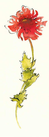 Peony Form Poppies II Black Ornate Wood Framed Art Print with Double Matting by Novak, Shirley