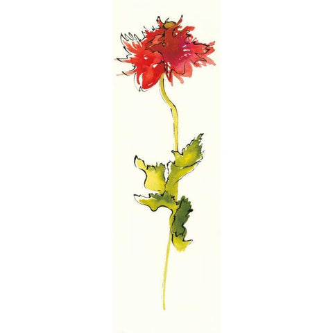 Peony Form Poppies III Gold Ornate Wood Framed Art Print with Double Matting by Novak, Shirley