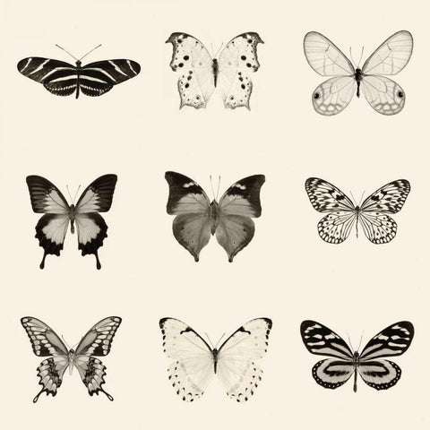 Butterfly BW 9 Patch Black Modern Wood Framed Art Print with Double Matting by Van Swearingen, Debra