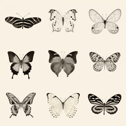 Butterfly BW 9 Patch White Modern Wood Framed Art Print with Double Matting by Van Swearingen, Debra